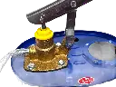 pato-8.webp
